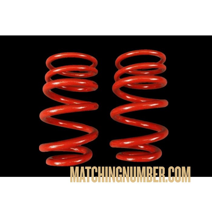 Porsche 991 GT3 Rear Springs Bilstein OEM